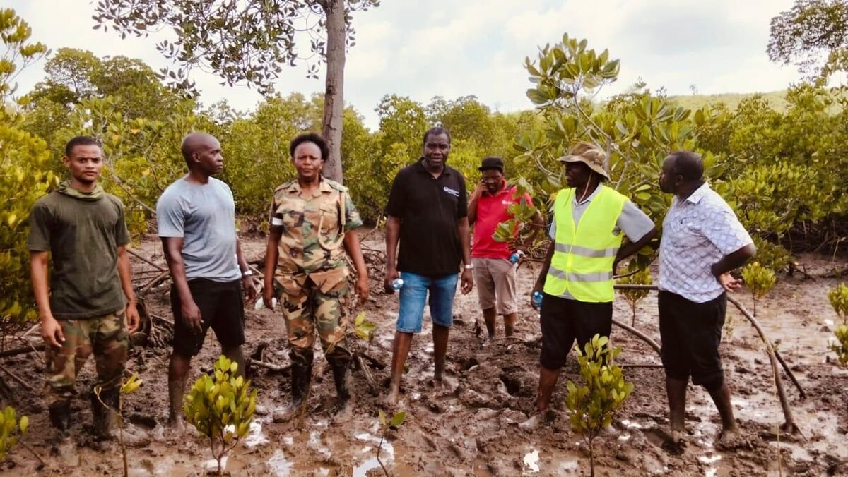 MOKICFA, KRA and KFS Officials during the planting exercise