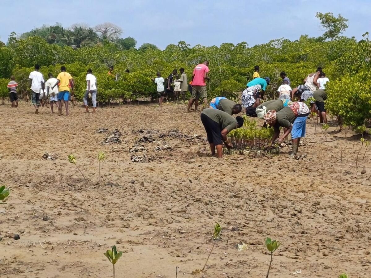 Community members planting at Majaoni