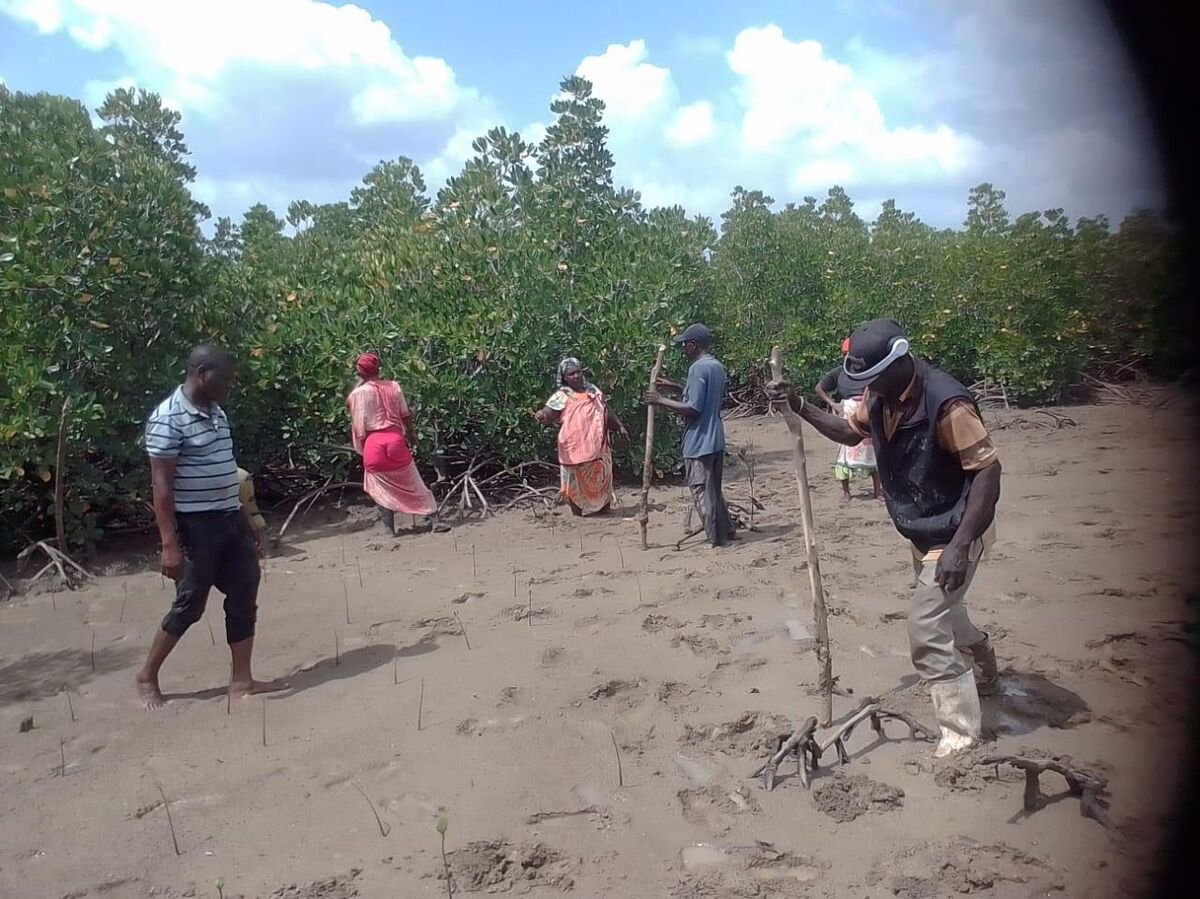 Members of MOKICFA planting in Likoni site