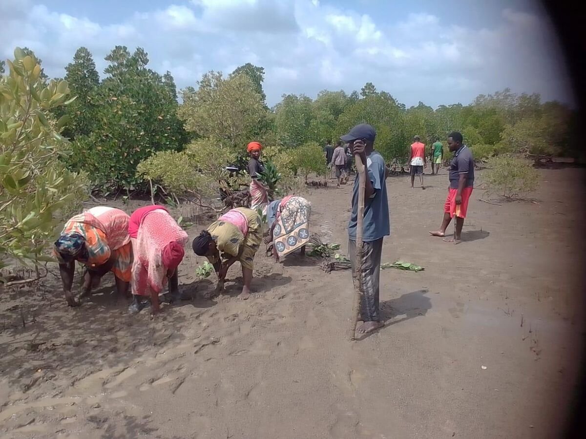 MOKICFA members at Likoni planting site