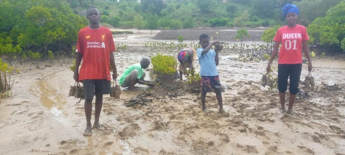 Community members carrying seedlings at Majaoni